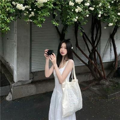 百鸟朝凤