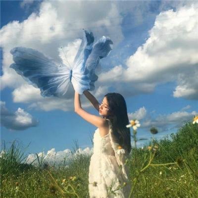 哈利波特：凤凰会的密令